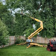 How Our Tree Care Process Works  in  Moses Lake, WA