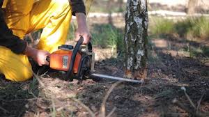 Best Firewood Processing and Delivery  in Moses Lake, WA